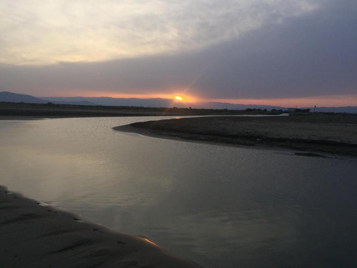 Caseta Del Delta De L'Ebre Sant Jaume d'Enveja Dış mekan fotoğraf